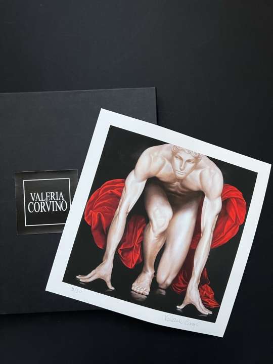 BOX MAGMA NARCISO